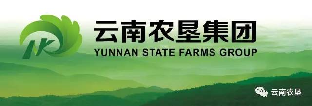 8月5日,从国家发改委传来喜讯,《国家发改委办公厅关于云南农垦电力