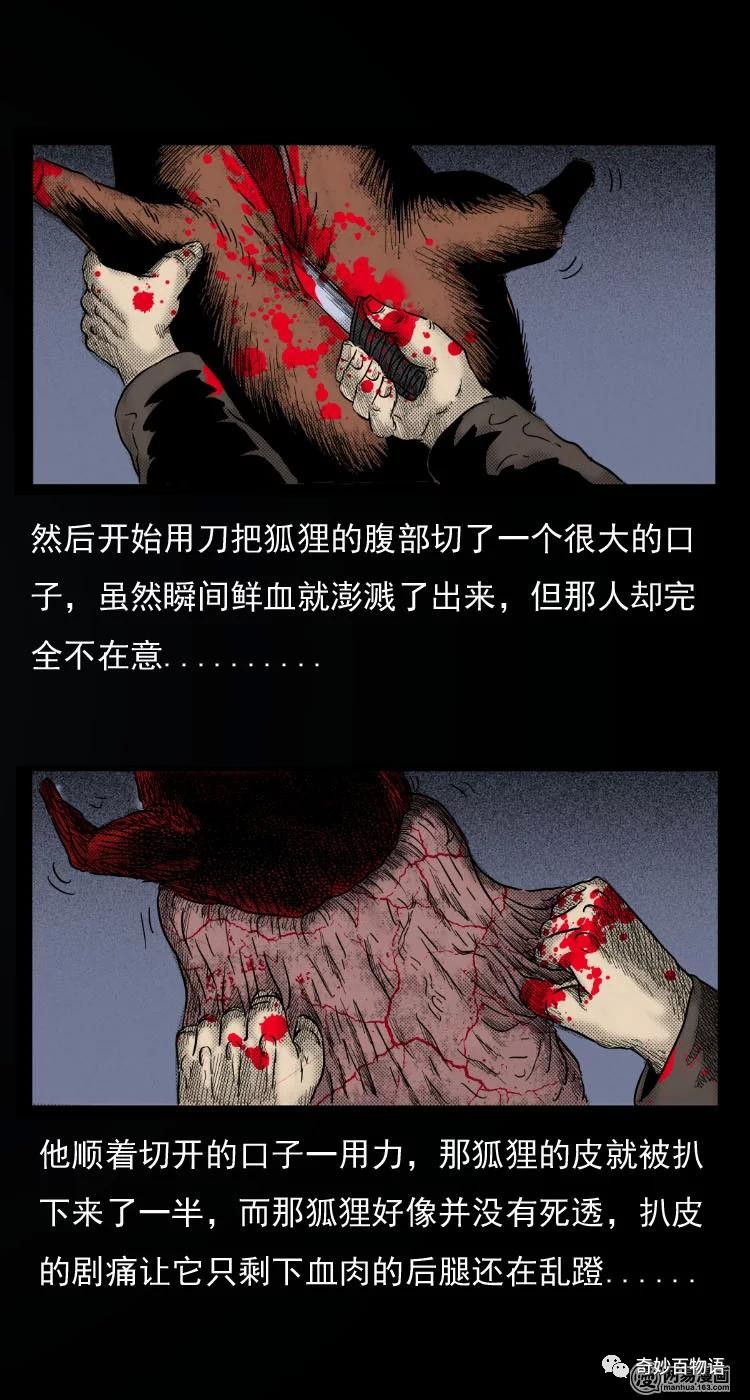 短篇鬼故事狐狸的报复 恐怖漫画大全狐皮