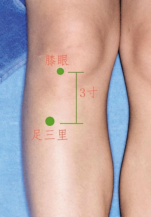 伏天拉肚子?还是脾肾阳虚啊