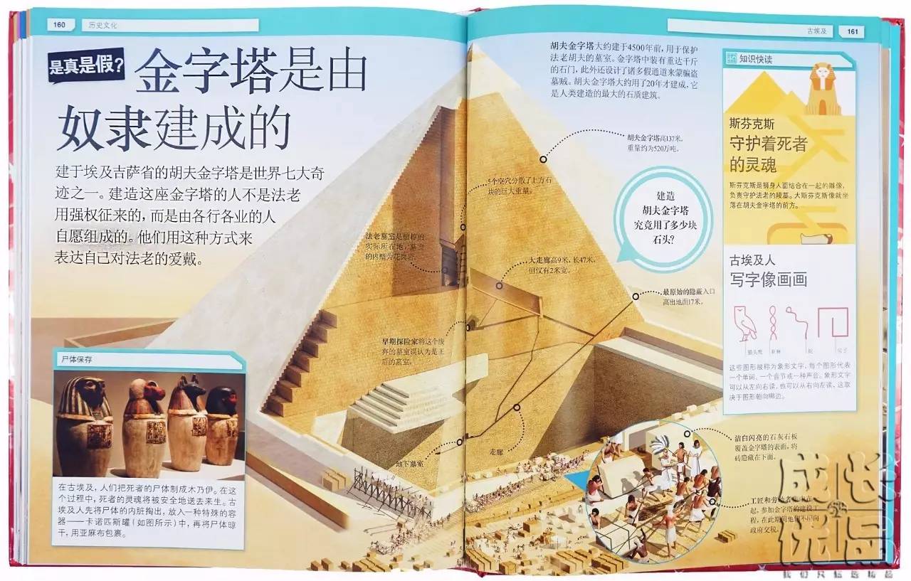 ▼金字塔是由奴隶建成的吗?