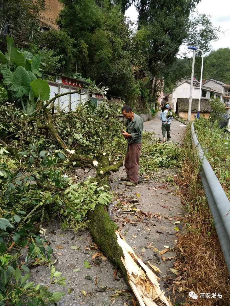 吹断树的大风,挂满天的彩虹,震天响的暴雨…淳安经历神奇一天