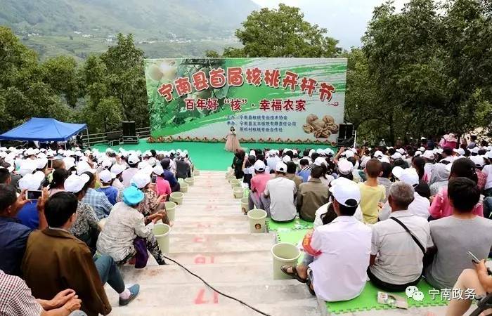 宁南县举行首届核桃开杆节