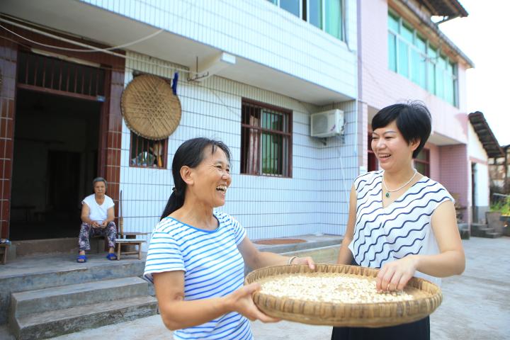 上市公司的职位有哪些_上市公司职位结构图