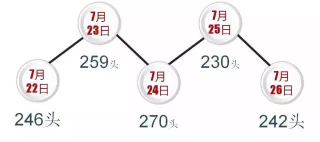 沈阳各区人口_沈阳房产地图 各区最受关注的楼盘推荐 看看您适合住哪(3)