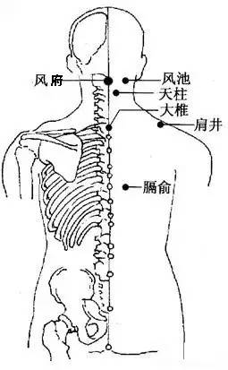 刮痧法的实验原理是什么_中暑刮痧是什么颜色