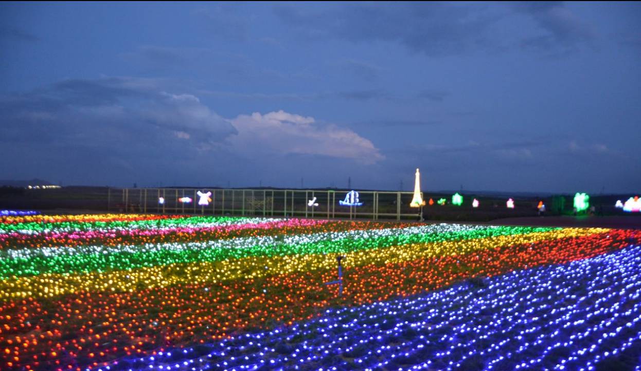 内蒙古有一条花海长廊 你有空吗?一起去看花海!