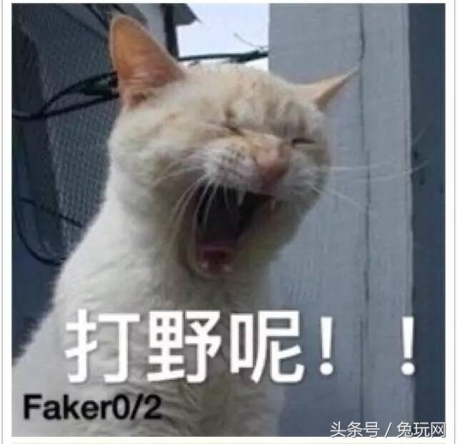 什么心什么肺成语动物_成语故事图片