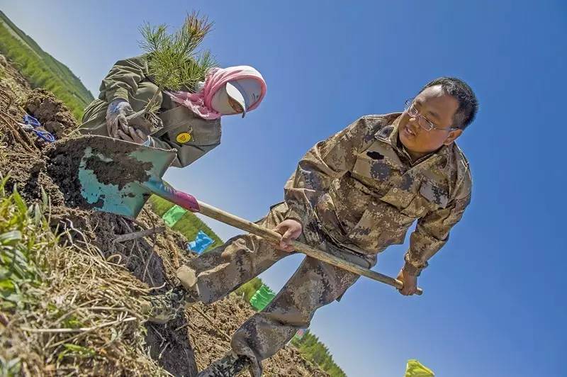 塞罕坝机械林场一线建设者风采录之三