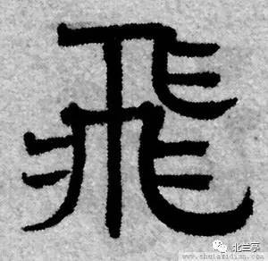 每日一字飞