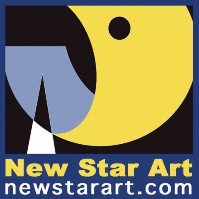 详情请查询学校网站  newstarart.com