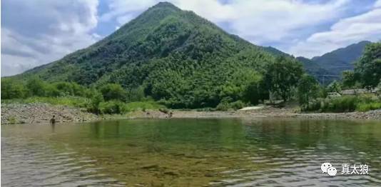 藏风聚气风水宝地茂林鸟瞰