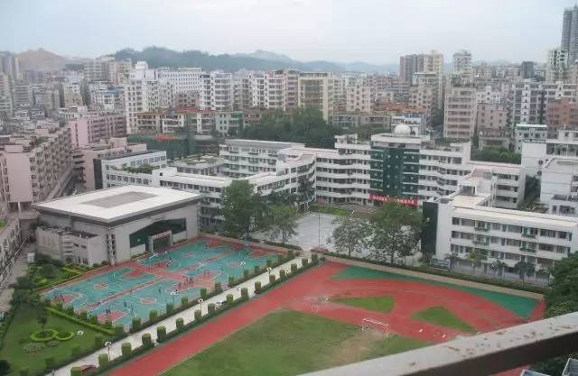 南威幼儿园等多所公立及私立幼儿园 小学有南岭小学,沙西小学,樟树布