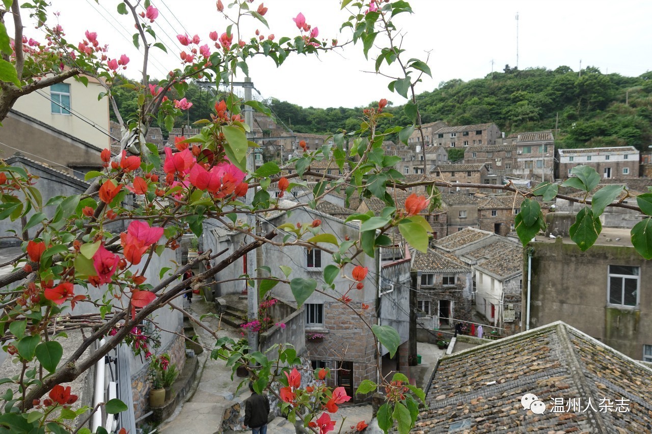 花岗村鲜花开在海岛上