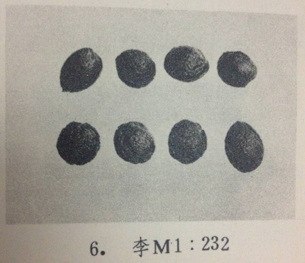 梅卅人口(2)