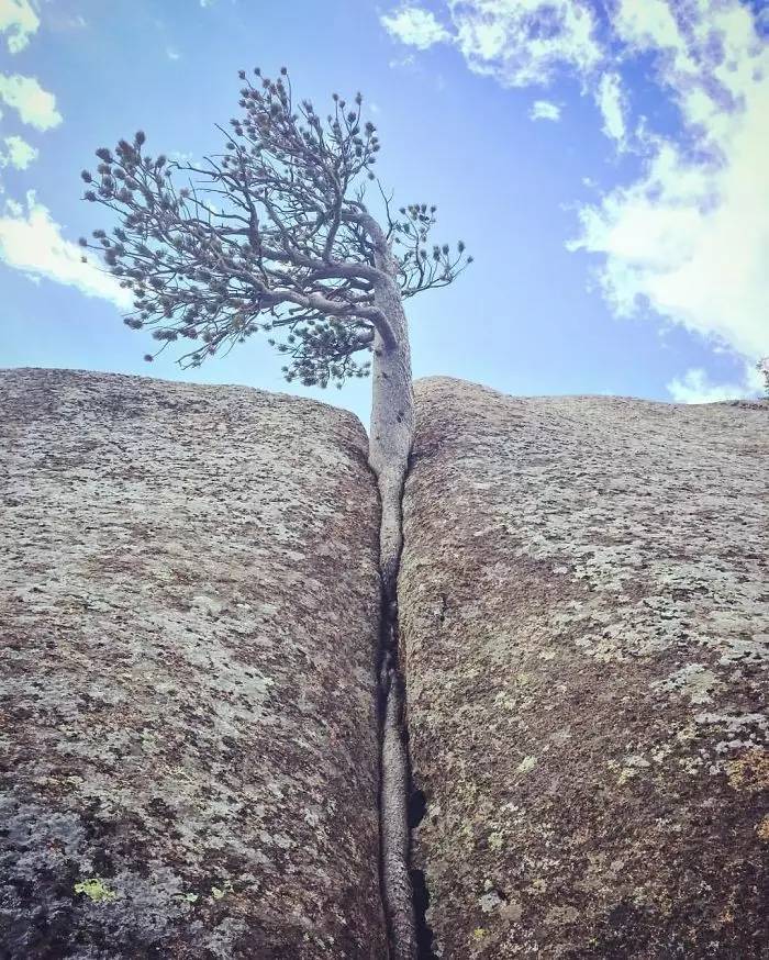 震撼生死一线绝处逢生这就是生命的力量