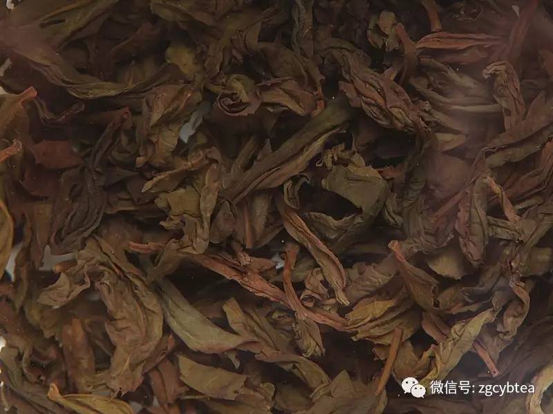 茶叶榜丨莲花峰瓜子金一款茶香清扬的武夷小品种岩茶综评分88分茶语评