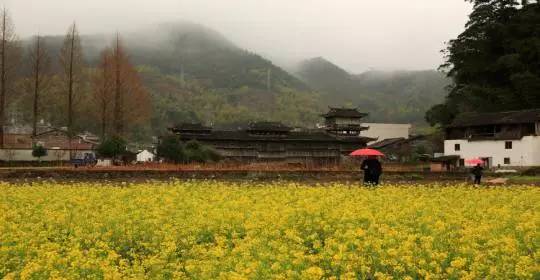 长砻梯田位于庆元县淤上乡长砻村,主要由横溪和翁山两个自然村组成,两