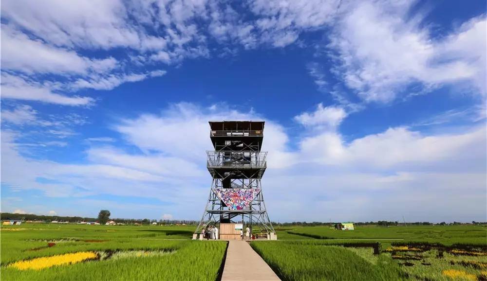 "稻梦空间"惊动国家旅游局!别再问我沈北旅游为什么这么火