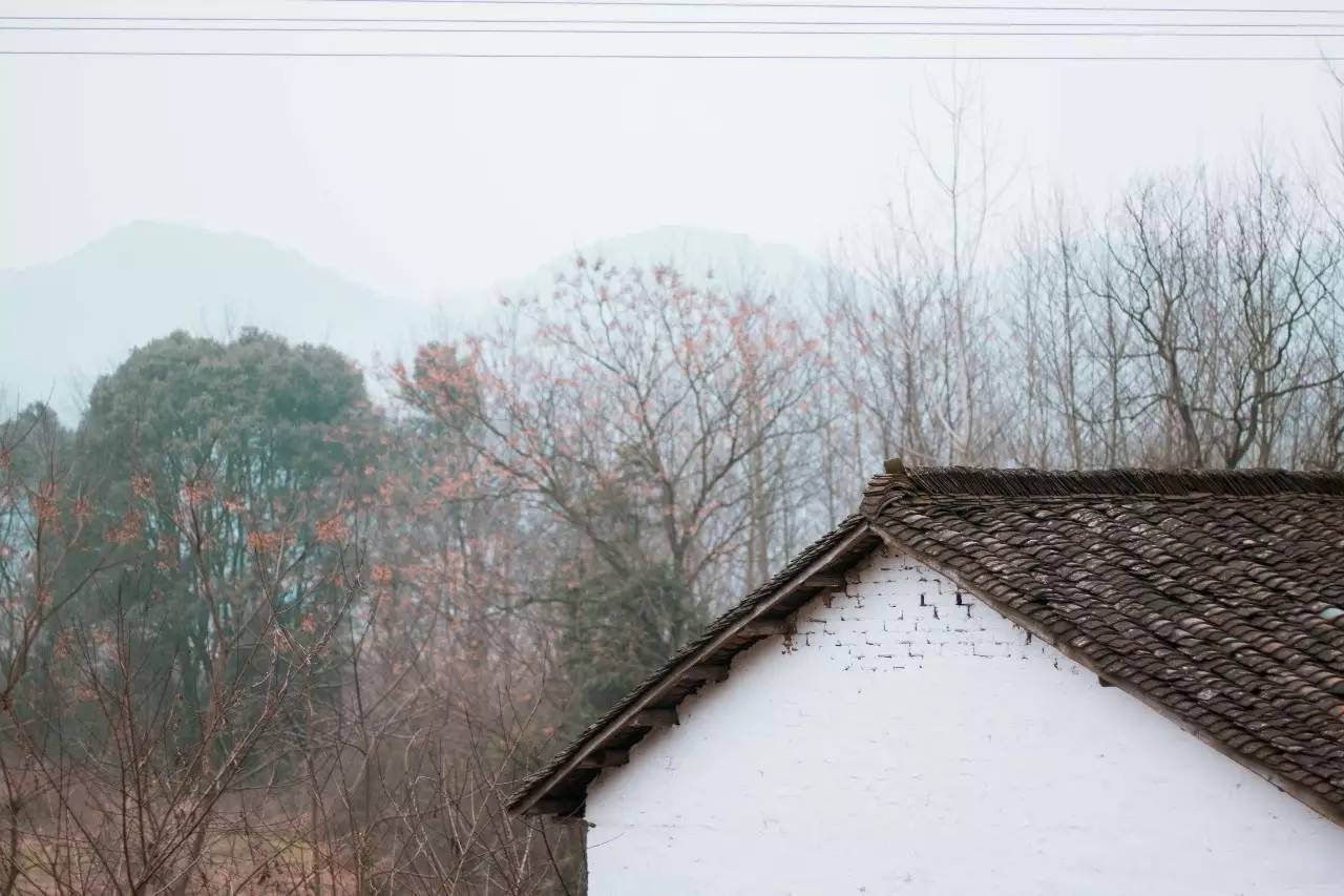 也是在这个小山村,我受这里的村长委托,花了一个月的时间为这个秀美却