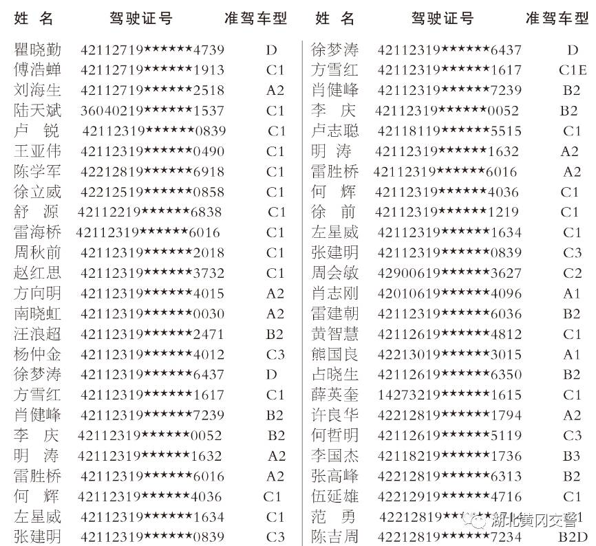 中国拥有驾照的人口比例是多少_蒯姓中国有多少人口(3)