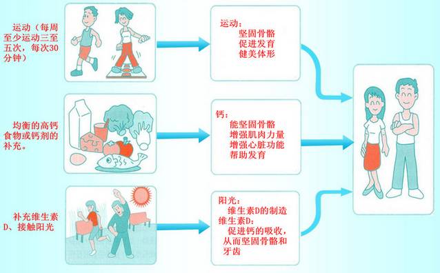 坚持钙和维生素 d 1的补充可预防或减轻骨质疏松