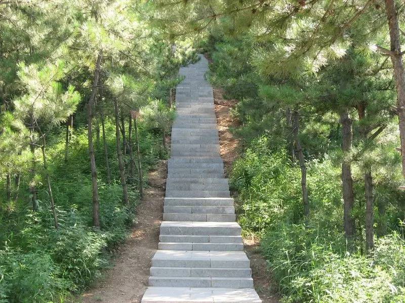 葫芦岛市有多少人口_葫芦岛市中心医院图片(2)