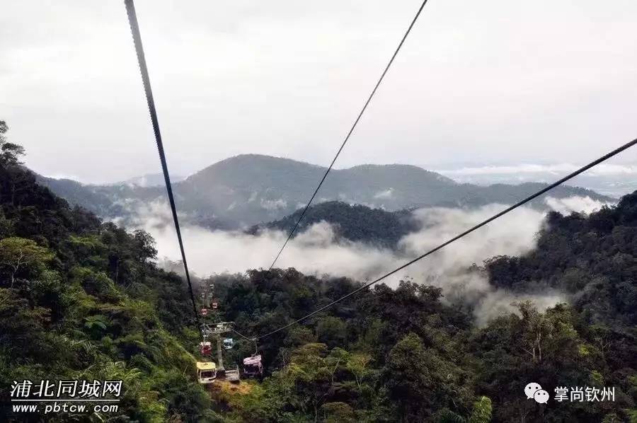 据悉,据浦北五皇山4a级旅游景区的发展需要,将在景区内打造一条上山