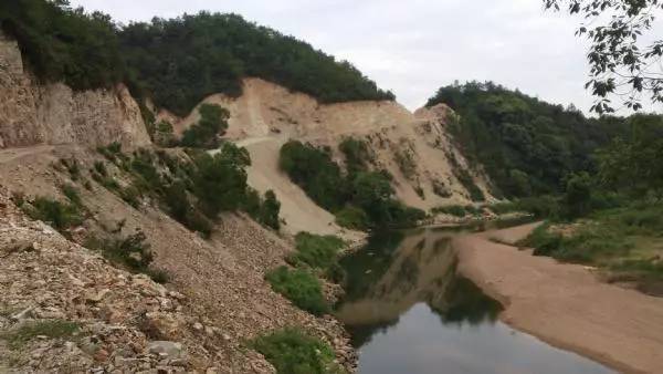 野外发现一处水洼地,老钓手能看出来这里有鱼吗