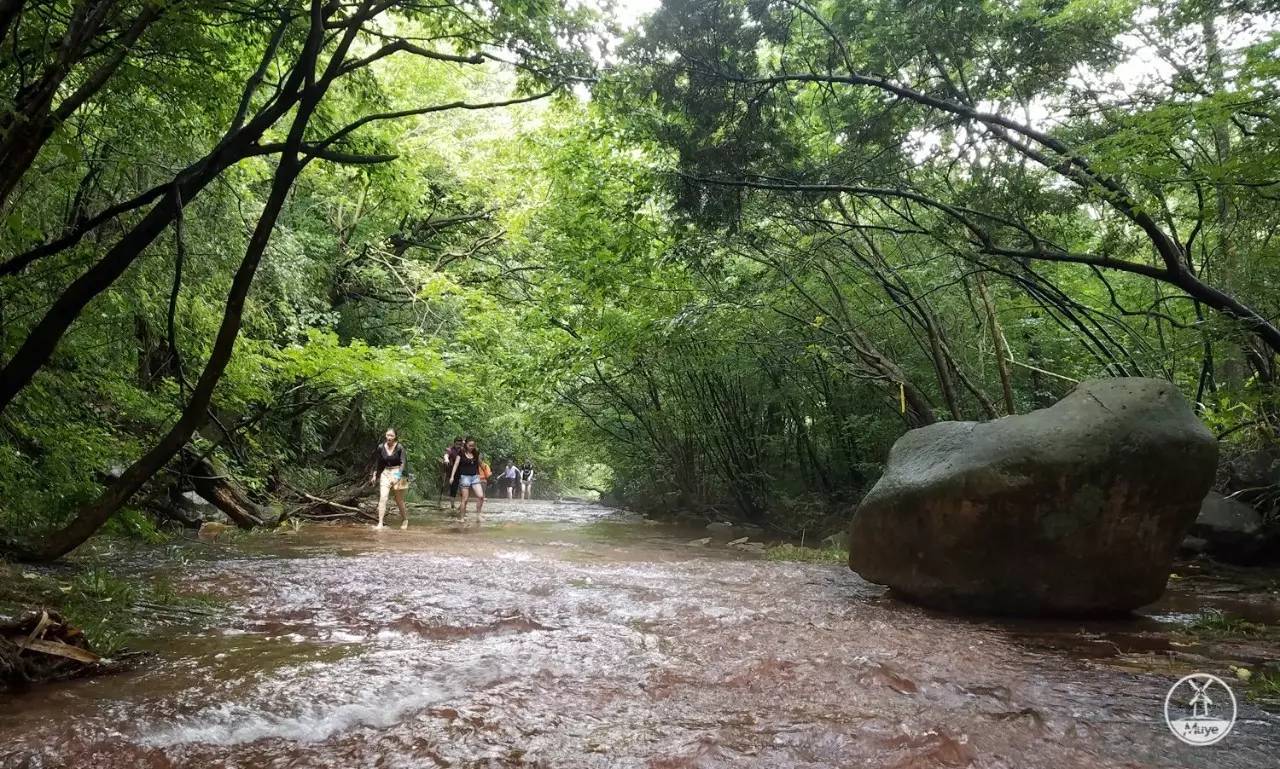 清凉一夏 8.20 井空里湿身溯溪,感受夏末清凉滋味