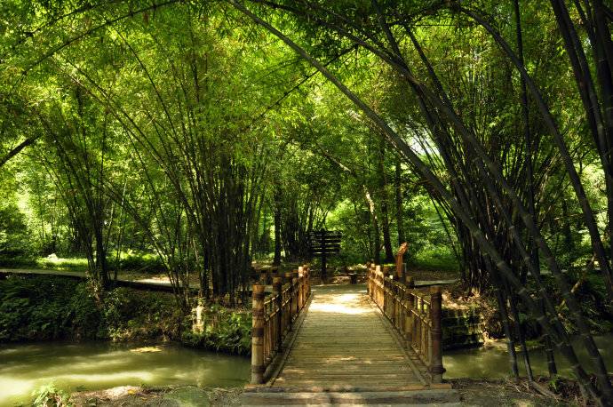 新津斑竹林公园毗邻羊马河畔 羊马河的支流穿园而过 聚集出两处湖泊