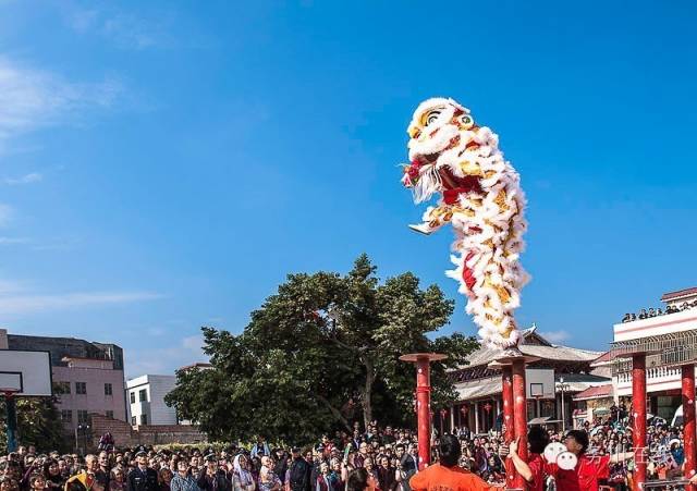 网友呼吁:高台舞狮是仡佬族非物质文化遗产,望大家关注,一直传承下去!