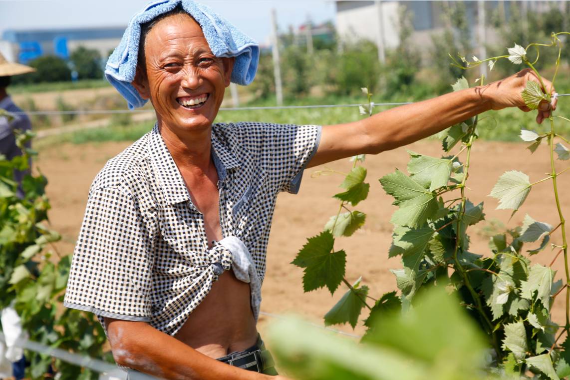 "深耕"就是跟农民伯伯种地一样,除草,翻土,施肥,并让土地足够的肥沃