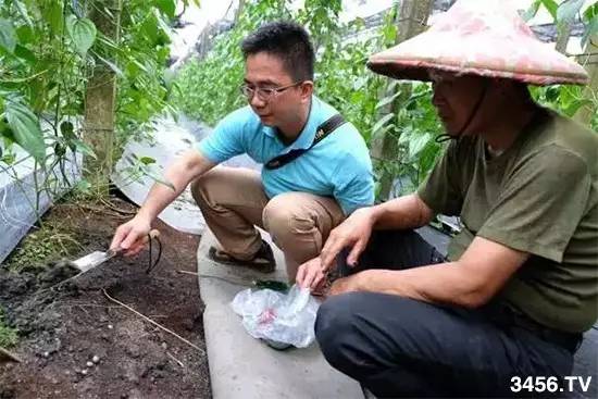 喷药老总_农作物喷药机图片