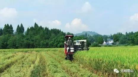 营山县柏林乡人口_营山县大庙乡