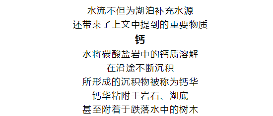 孔雀河简谱_亲不够的孔雀河简谱图片格式(2)