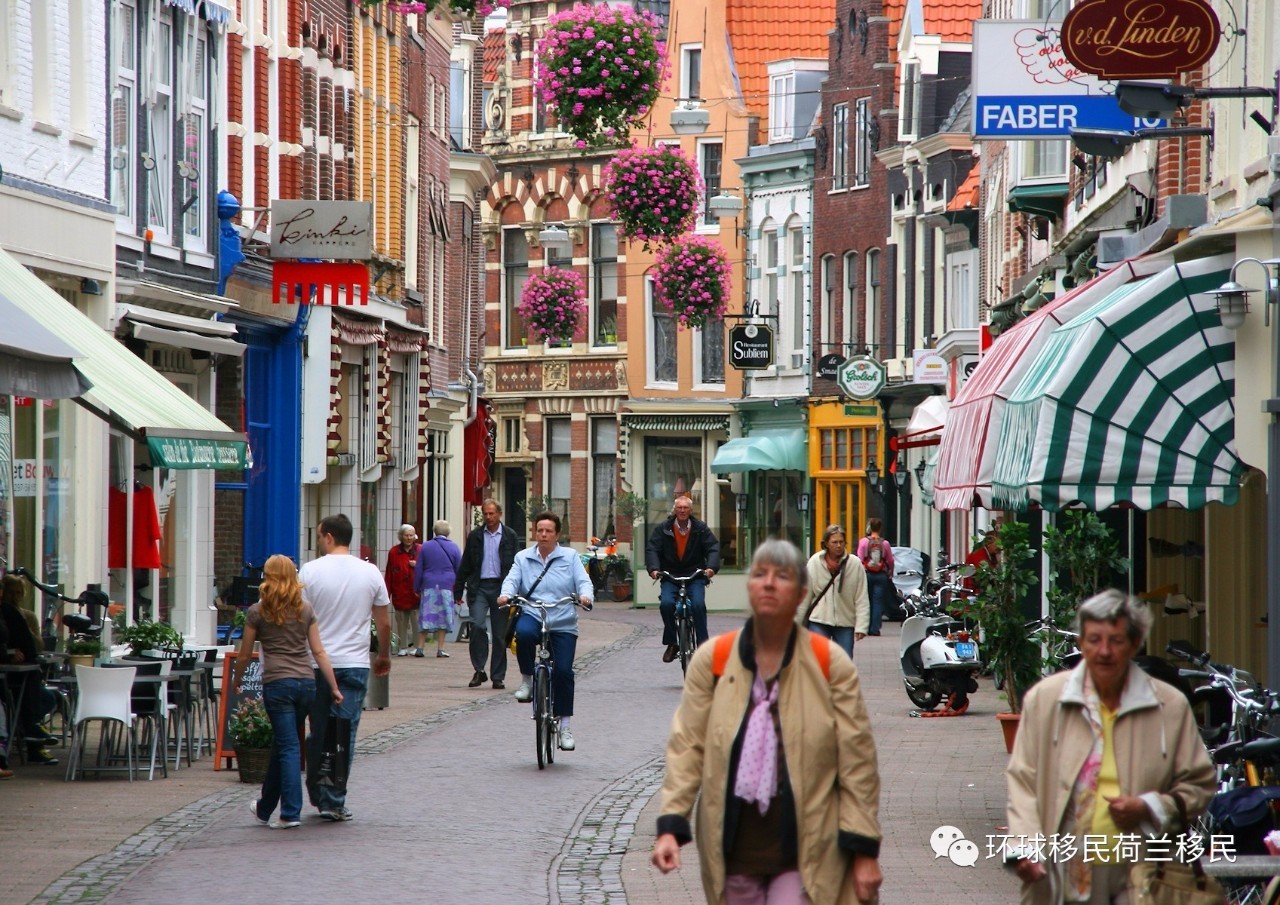 这个荷兰小镇的国宝 怎么看着这么眼熟_手机新浪网