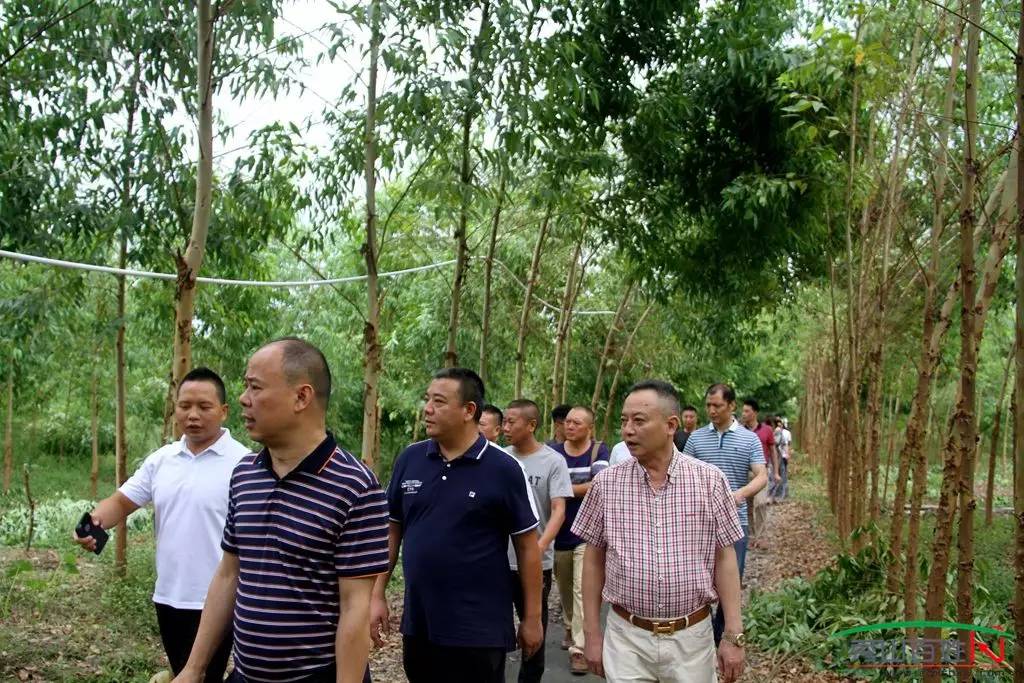 秀山工商界大佬力挺秀山旅游走进川河盖走进玫瑰之约