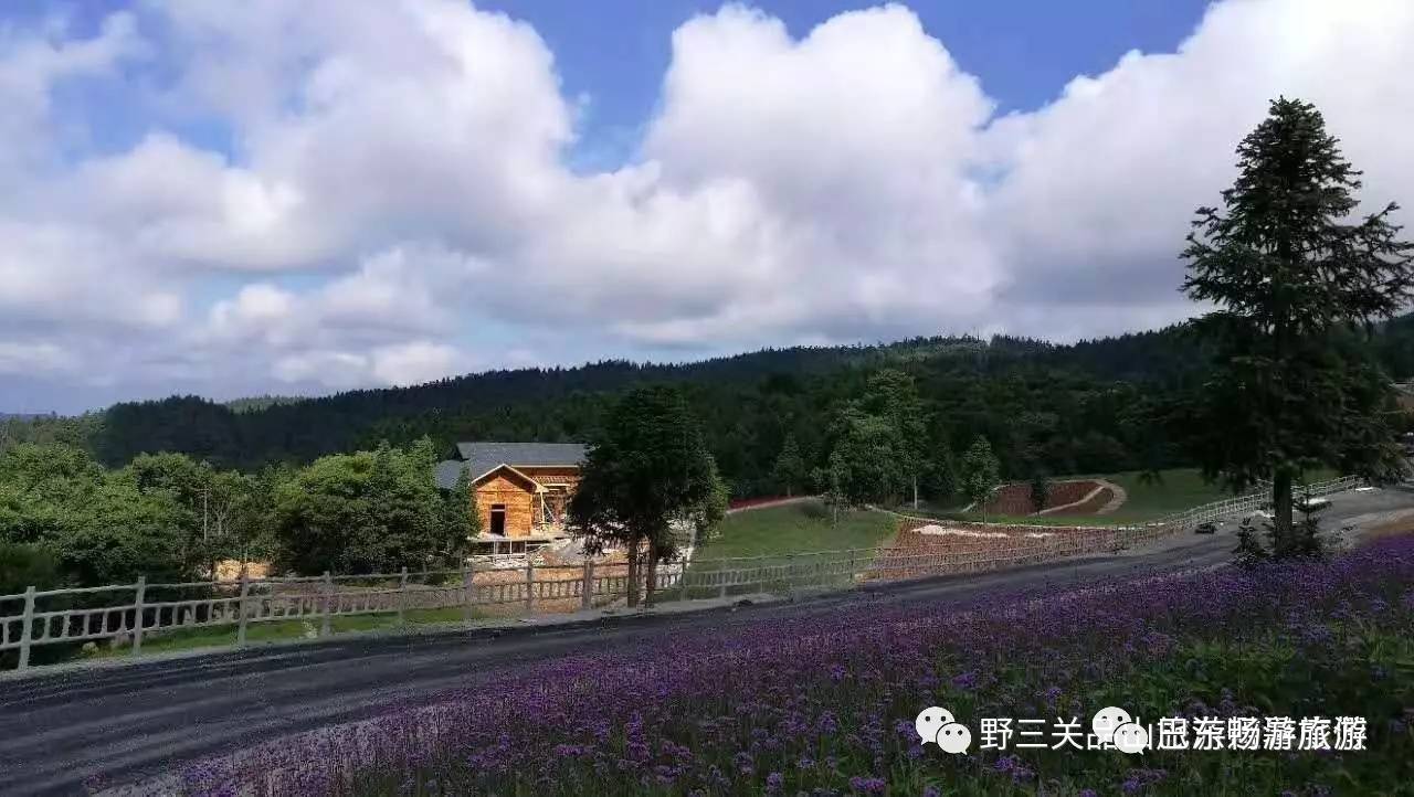 野三关森林花海 女人谷 2日游