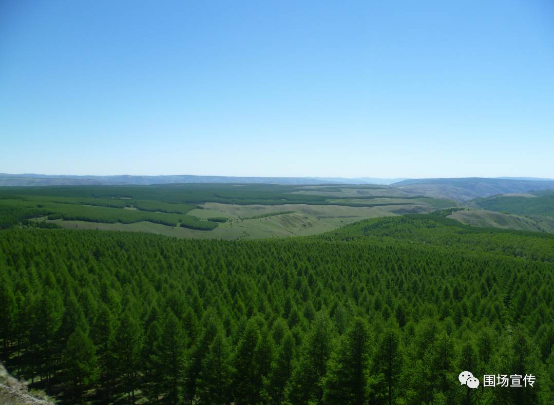 塞罕坝地区在距今三百多年前曾生长着茂密的原始森林,清朝康熙年间被