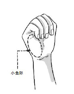 一般是右手松握空心拳,小鱼际肌侧朝向病人胸壁,以距胸壁20-30cm高度