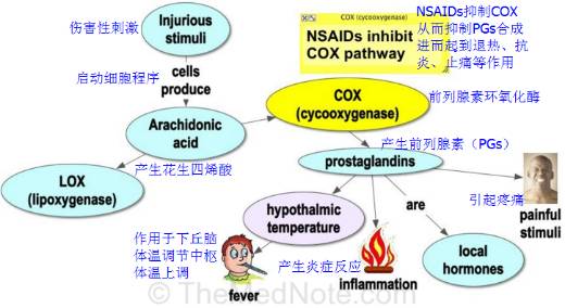 退烧药的原理是什么_白色退烧药片是什么(2)