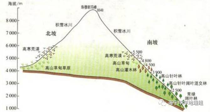 教育 正文  图7 珠穆朗玛峰垂直自然带谱 由于珠峰的南,北坡所处地理