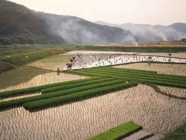 农村人口土地_农村人口(2)