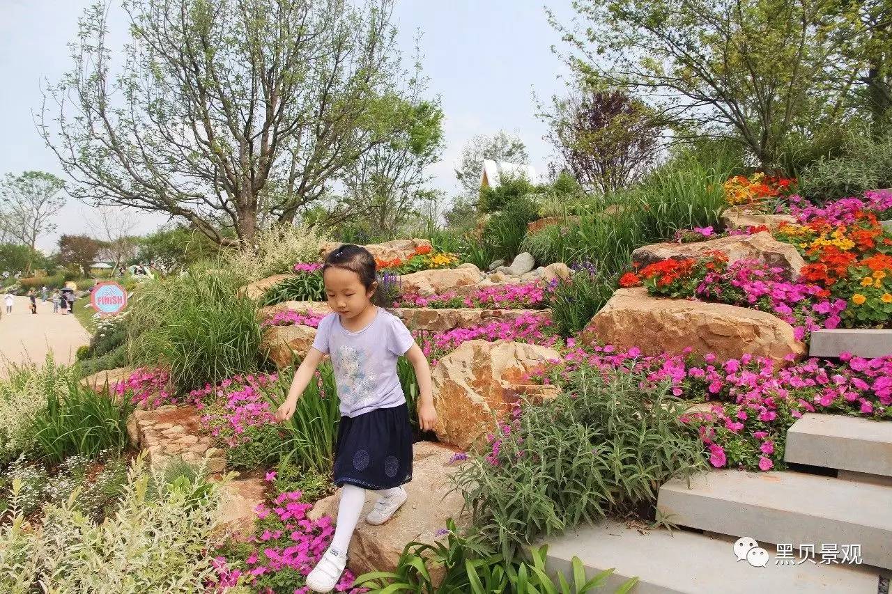 待到山花烂漫时 —— 麓湖花岛