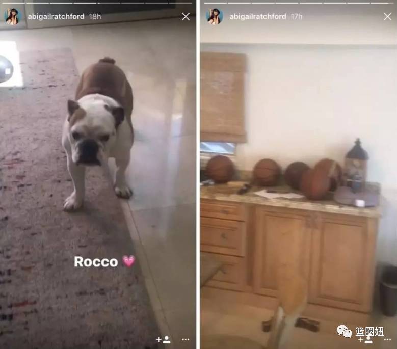 原因是她在自己的ins直播中 晒出了克莱的爱犬 rocco 她还在直播中