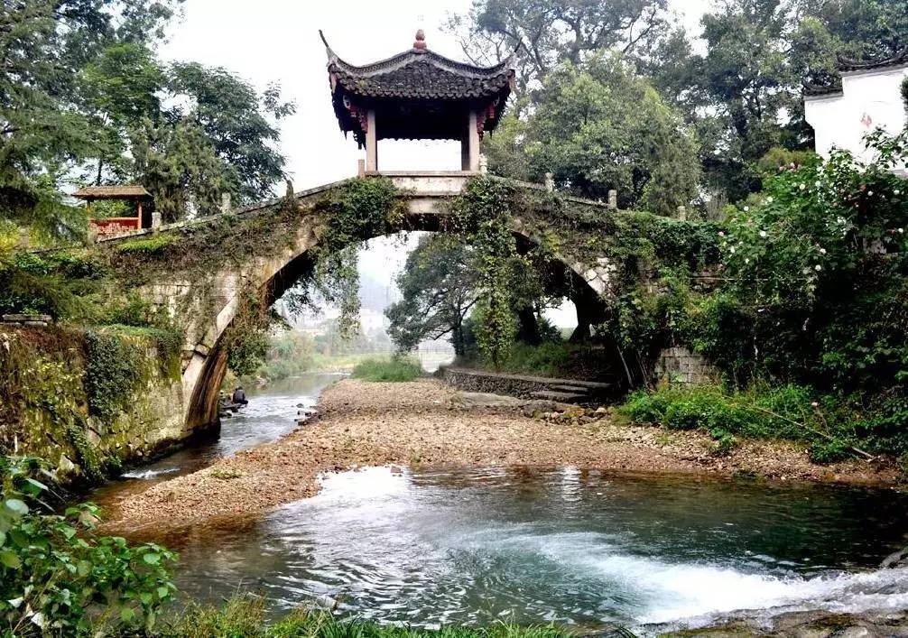 自驾必备线路!浙江最美的风景都在这条路上,一起去看山玩水住古村