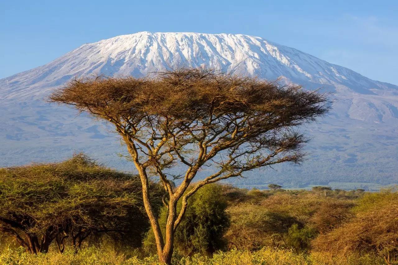 2 snows of kilimanjaro 作为非洲最高峰,乞力马扎罗山素有"非洲屋脊