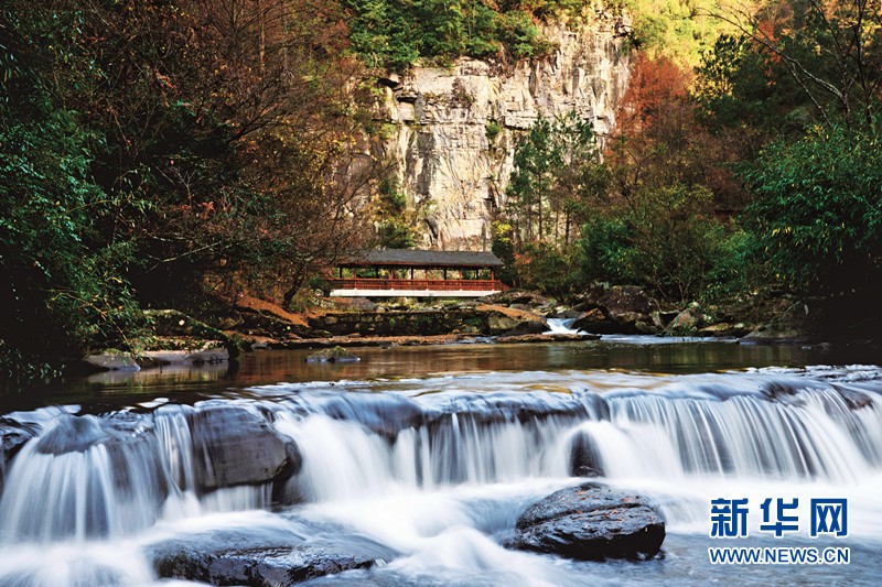 旅游 正文 石柱:油草河 油草河小溪 油草河发源于黄水国家森林公园腹