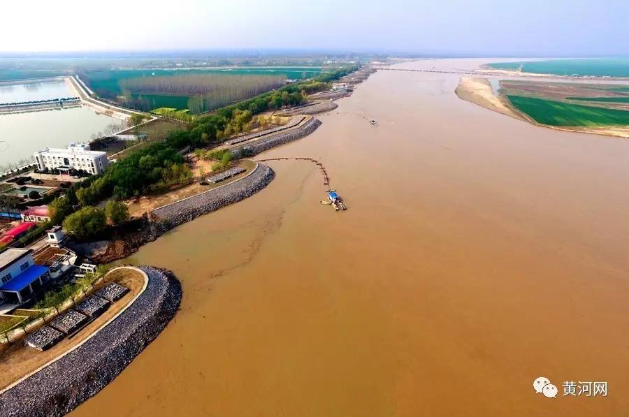 黄河滩里看黄河 河地联姻结硕果