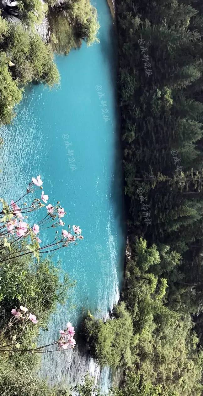 看图↓↓↓ 13日航拍的树正群海 近距离欣赏火花海震后奇特景观 神奇